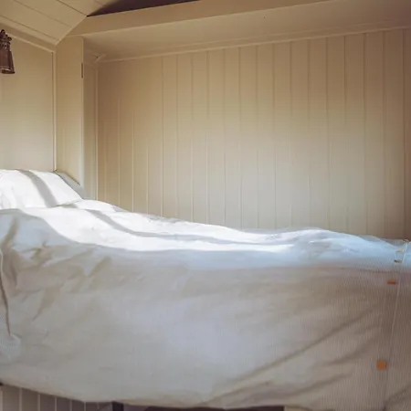 Campsite Shabby Shepherds