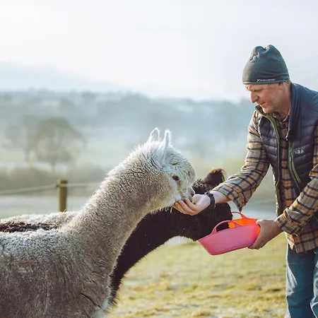 Shabby Shepherds Penrith