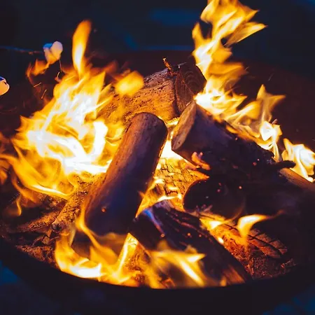 Shabby Shepherds * Пенрит