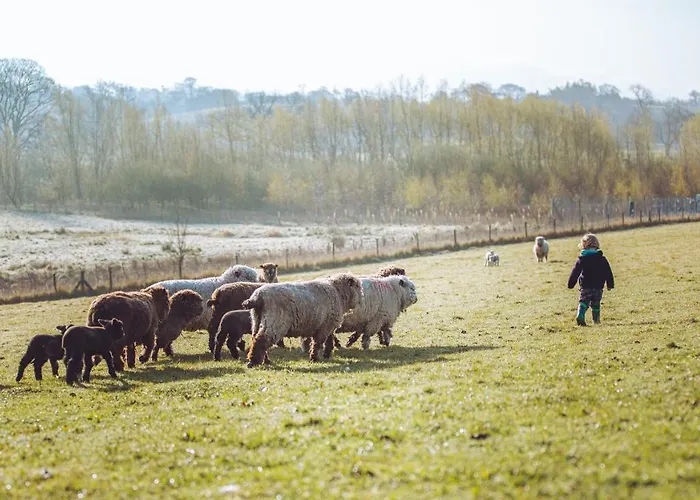 Campingplatz Shabby Shepherds Penrith