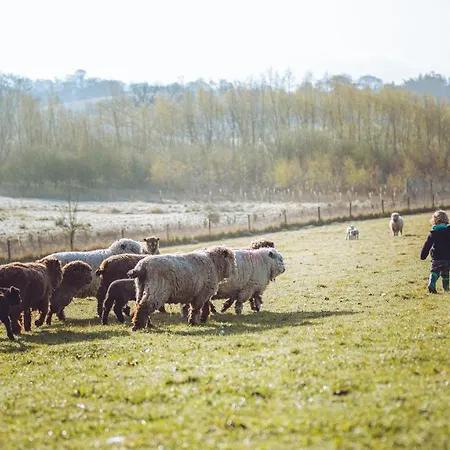 مكان تخييم Shabby Shepherds بنريث